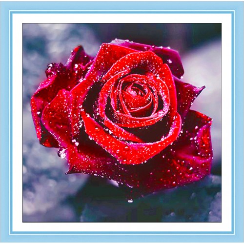 “Роза на снегу”