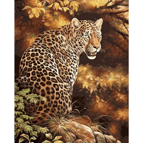 “Леопард”
