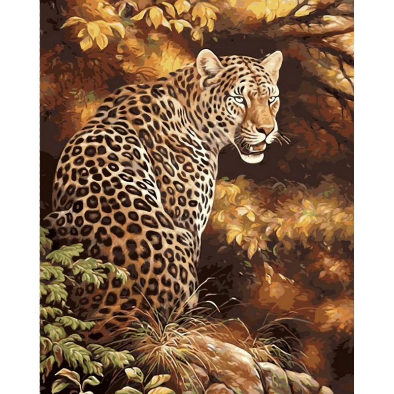 “Леопард”