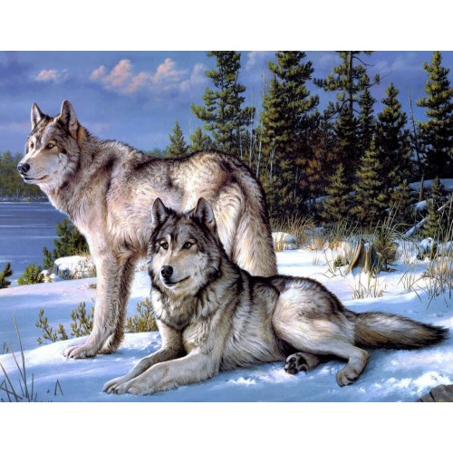 ” Волки в зимнем лесу”