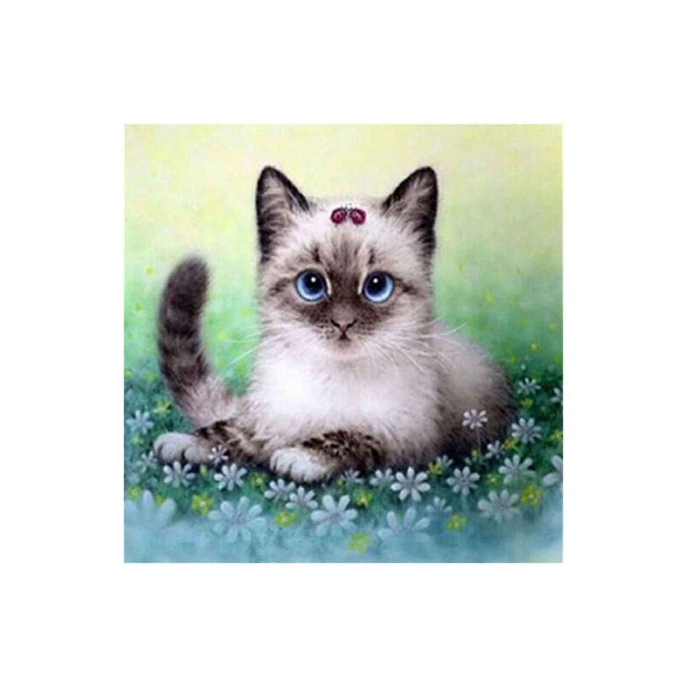 Добрый котенок” - Профессиональные материалы Lookmarket