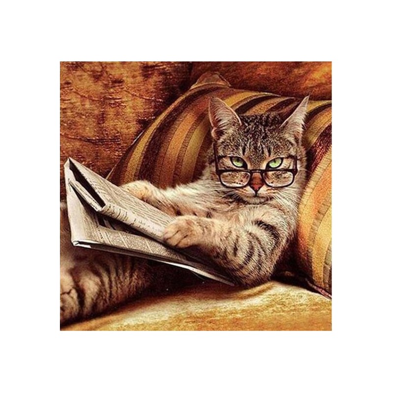 “Кот с газетой”