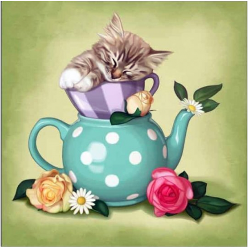 “Чайник и котенок”