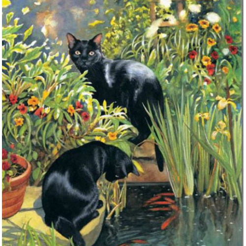 “Черные кошки”